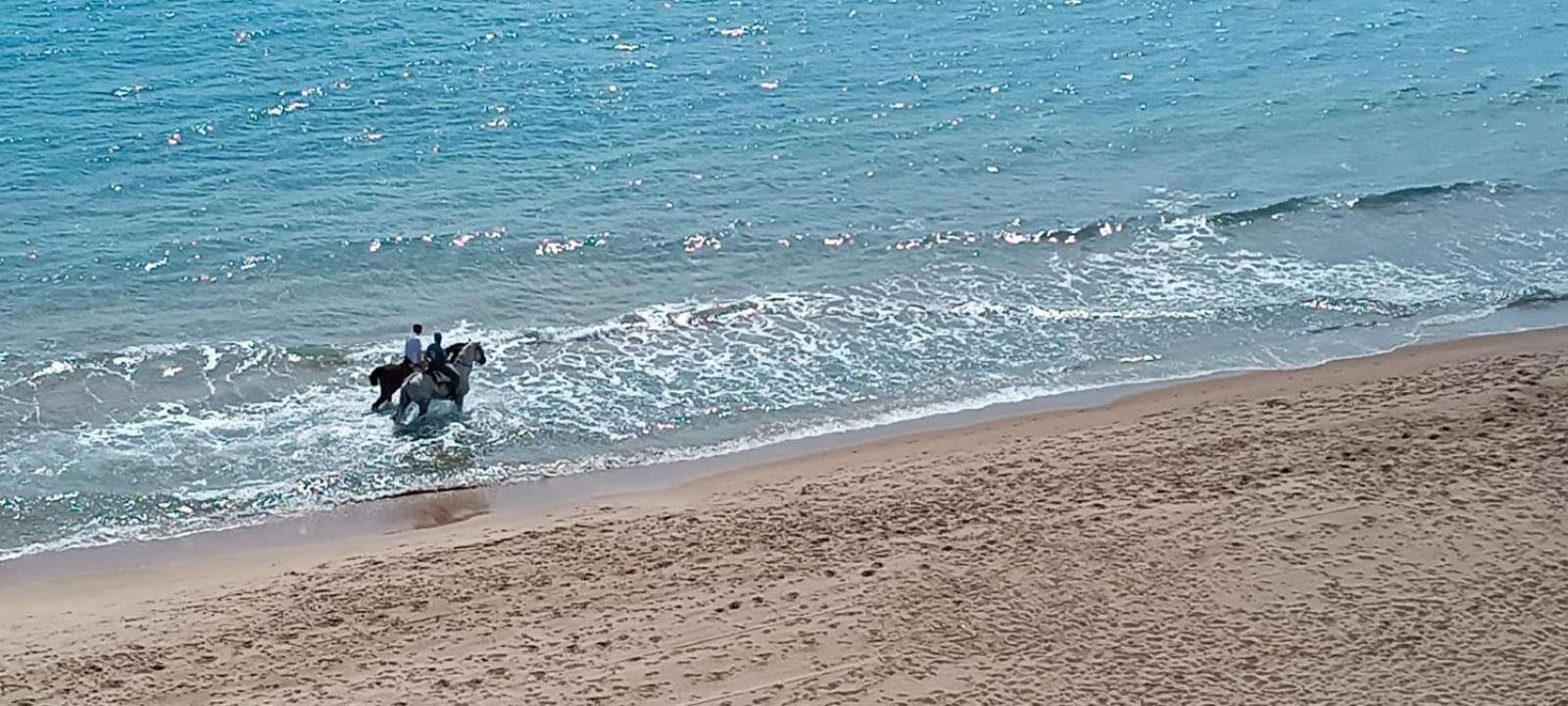 Blue Double Private At Front - En La Playa Piso Compartido Valencia